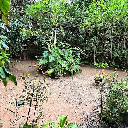 Ella Secret Paradise ภายนอก รูปภาพ