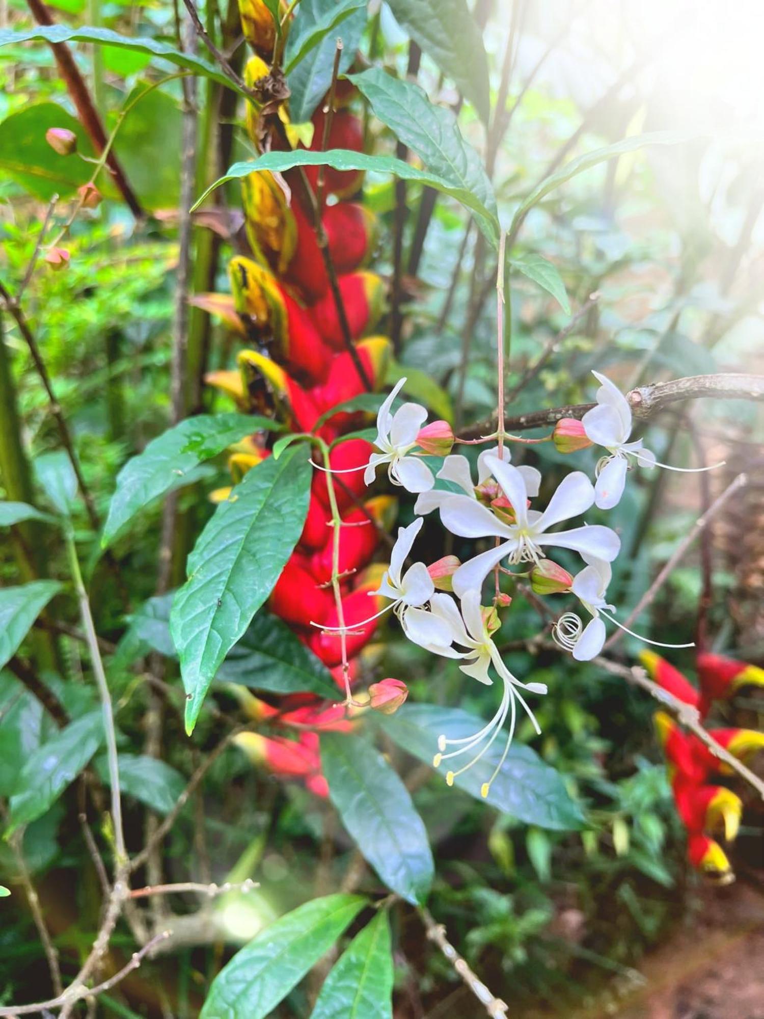 Ella Secret Paradise ภายนอก รูปภาพ
